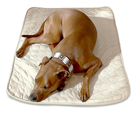 Original Cooling Mat