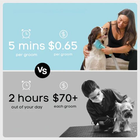 Advanced Pro 7 - in - 1 Pet Grooming Kit - Mister Woofs