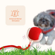Automatic Dog Walker - Mister Woofs