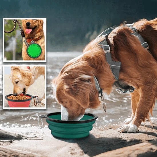 Collapsible Travel Bowl (50% OFF)