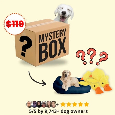 Mystery Pet Box – £40+ Value! 🎁 - Mister Woofs