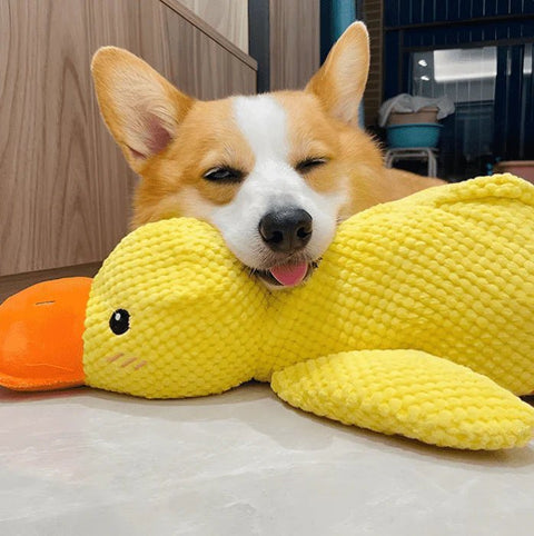 Original Calming Duck - Mister Woofs