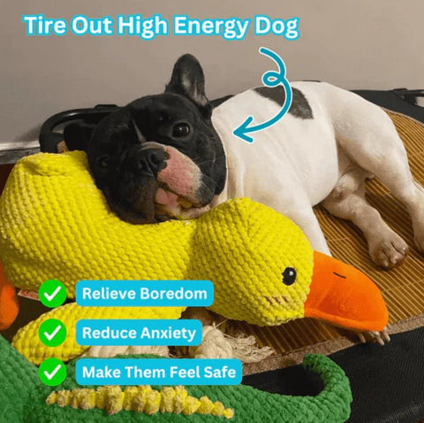 Original Calming Duck - Mister Woofs