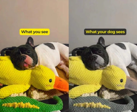 Original Calming Duck - Mister Woofs