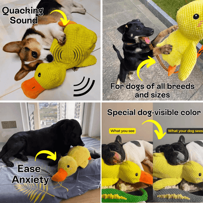 Original Calming Duck - Mister Woofs